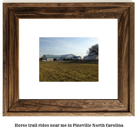 horse trail rides near me in Pineville, North Carolina